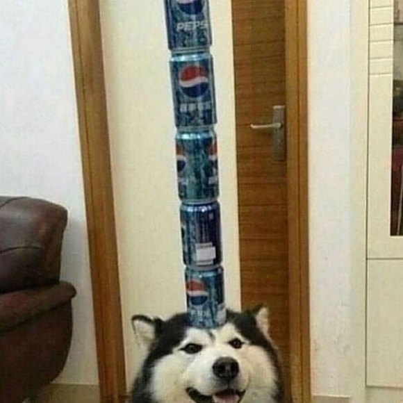 Meet your Posher, Landin - Picture 1 of 1